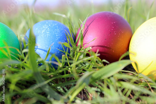 Easter eggs in green grass in the sun