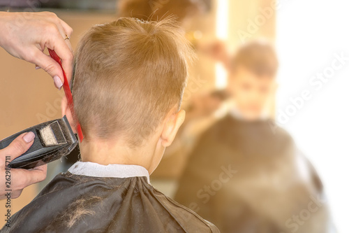 Barber hairdresser cuts a young man in a beauty salon. back view with sunlight