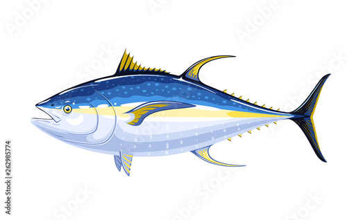 Commercial fish species. Yellowfin tuna. Vector illustration cartoon flat icon isolated on white. photo