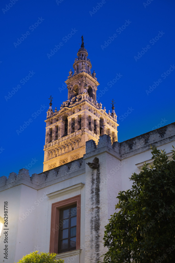 seville cathedral at night - the giralda