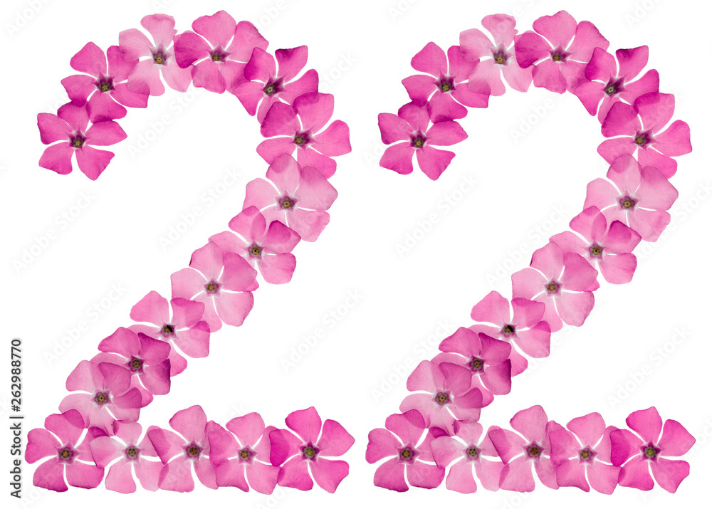 Numeral 22, twenty two, from natural pink flowers of periwinkle, isolated on white background Numeral 22, twenty two, from natural pink flowers of periwinkle, isolated on white background