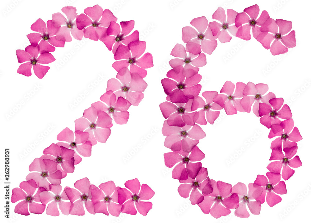 Numeral 26, twenty six, from natural pink flowers of periwinkle, isolated on white background Numeral 26, twenty six, from natural pink flowers of periwinkle, isolated on white background