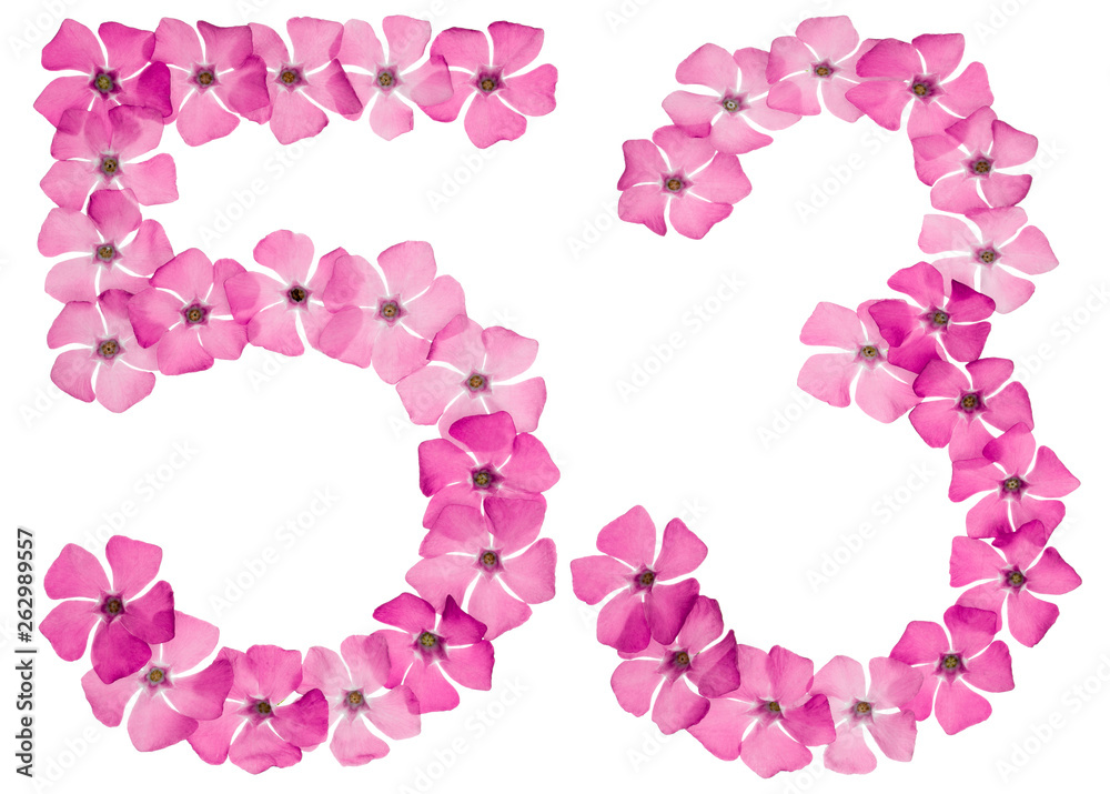 Numeral 53, fifty three, from natural pink flowers of periwinkle, isolated on white background