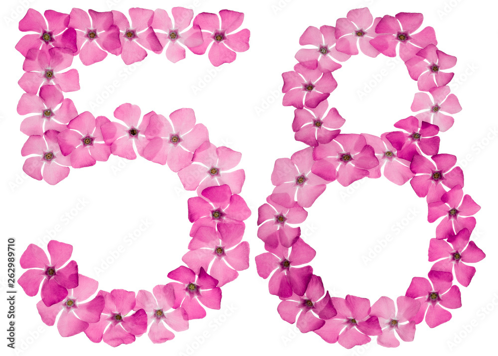 Numeral 58, fifty eight, from natural pink flowers of periwinkle, isolated on white background