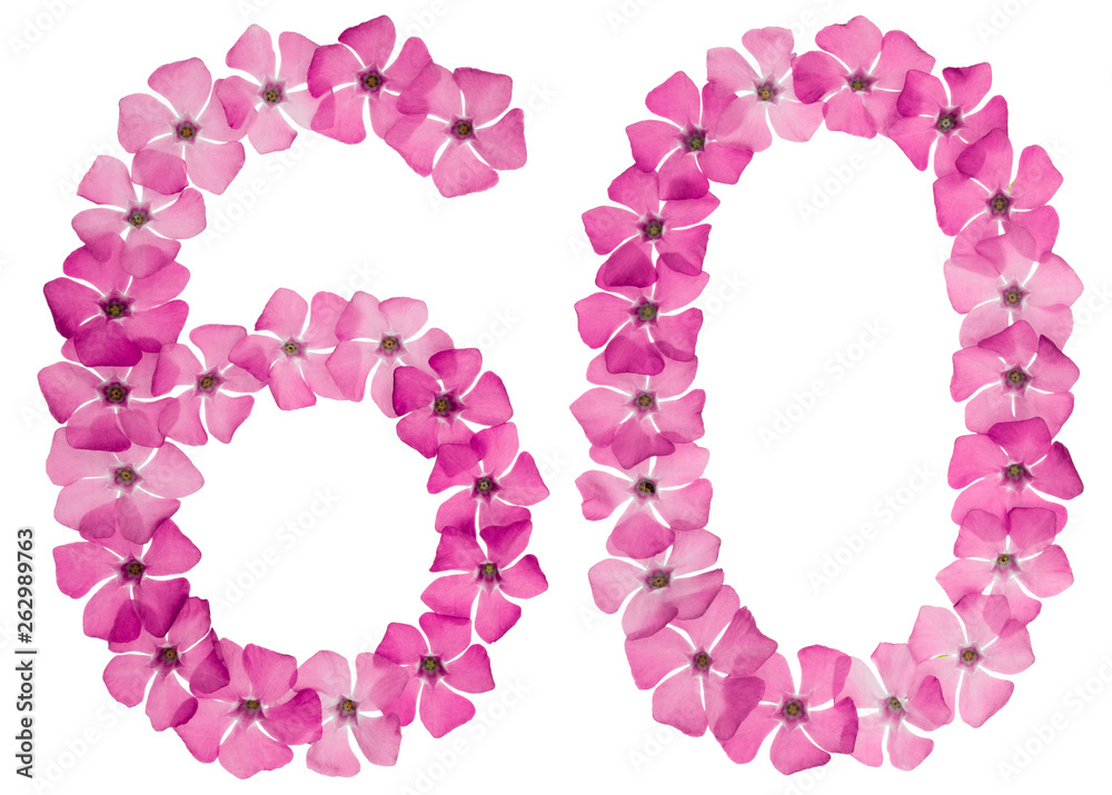 Numeral 60, sixty, from natural pink flowers of periwinkle, isolated on white background