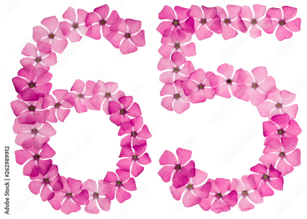 Numeral 65, sixty five, from natural pink flowers of periwinkle, isolated on white background