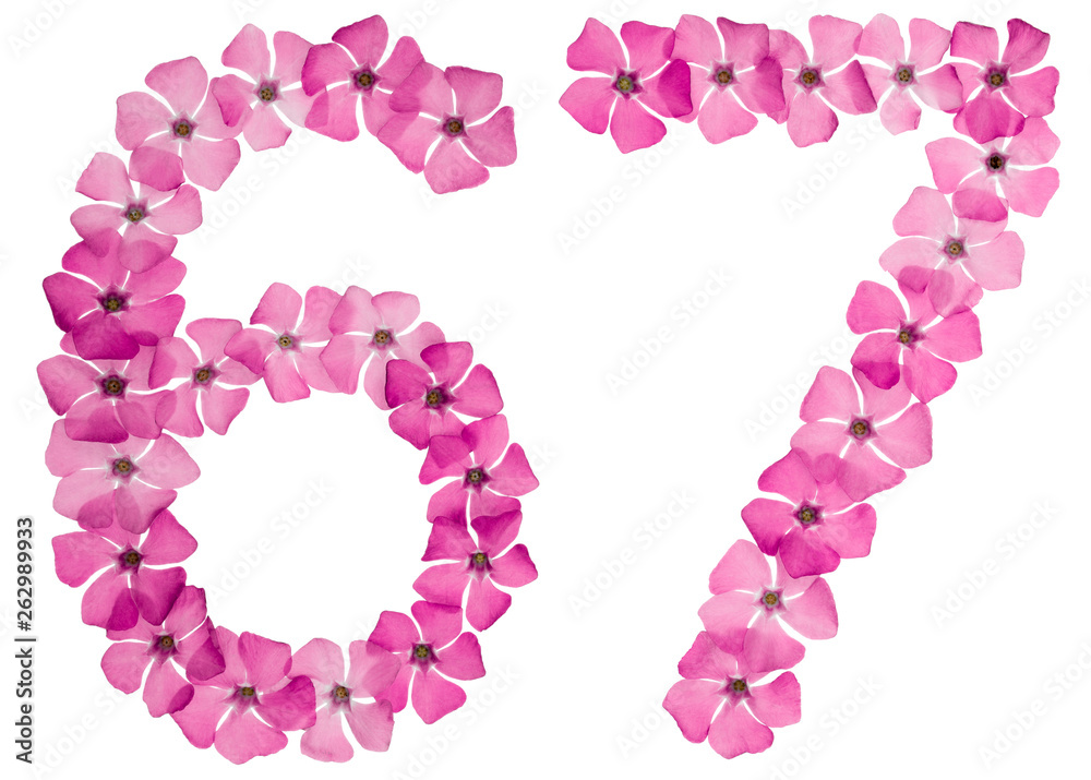 Numeral 67, sixty seven, from natural pink flowers of periwinkle, isolated on white background