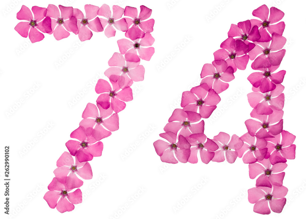 Numeral 74, seventy four, from natural pink flowers of periwinkle, isolated on white background