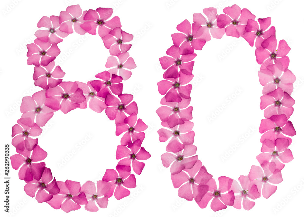 Numeral 80, eighty, from natural pink flowers of periwinkle, isolated on white background