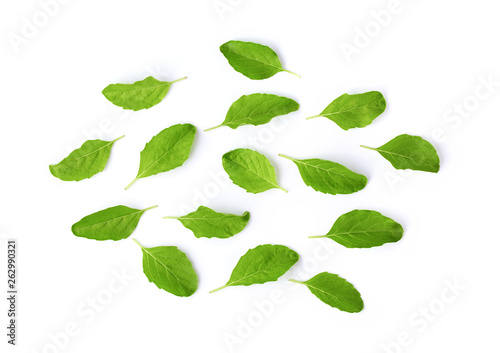 Holy Basil,Ocimum sanctum leaf isolated on white background. top view