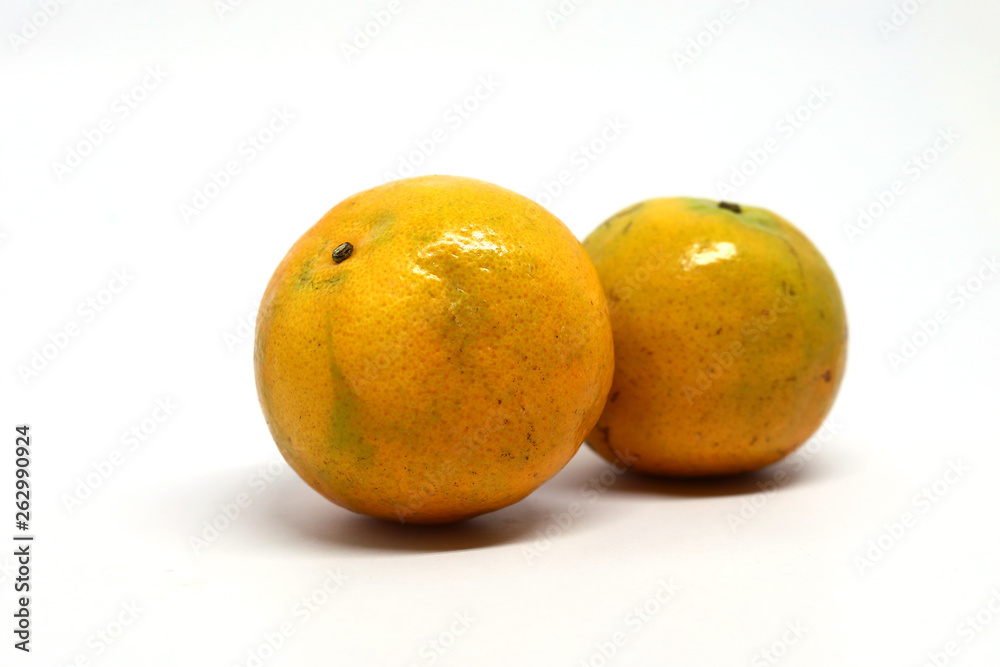 orange organic fruit on white background