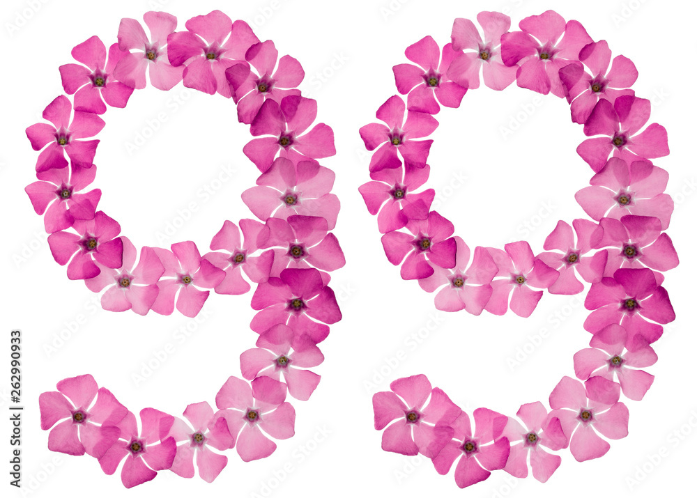 Numeral 99, ninety nine, from natural pink flowers of periwinkle, isolated on white background