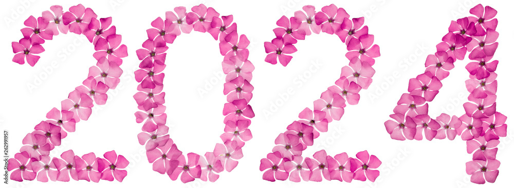 Inscription 2024, from natural pink flowers of periwinkle, isolated on white background
