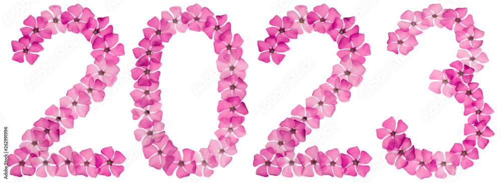 Inscription 2023, from natural pink flowers of periwinkle, isolated on white background