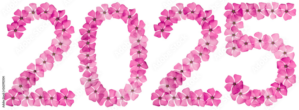 Inscription 2025, from natural pink flowers of periwinkle, isolated on white background Inscription 2025, from natural pink flowers of periwinkle, isolated on white background