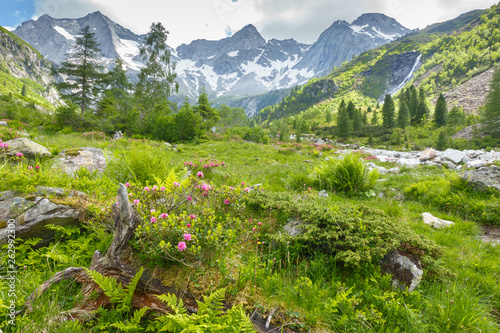 Berglandschaft im Sommer mit Gletscher im Hintergrund