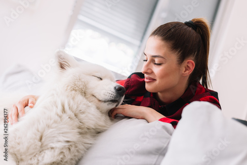 Fototapeta Naklejka Na Ścianę i Meble -  Girl chilling with her dog at home. Woman with her pet Samoyed in living room.