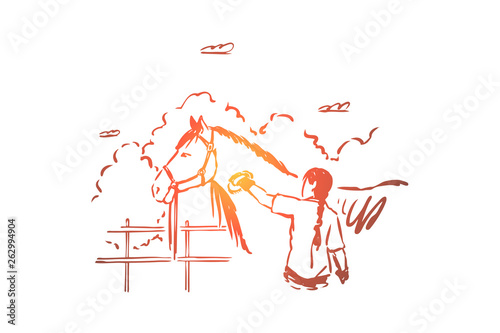 Young woman combing thoroughbred mare, animal care, pet lover, female farmer cleaning stallion with fetlock