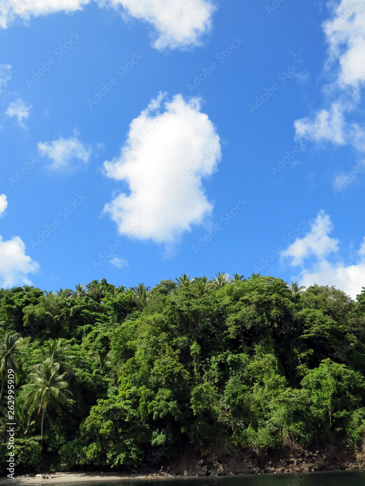 Obraz premium Landscape - Lembeh strait, Indonesia.