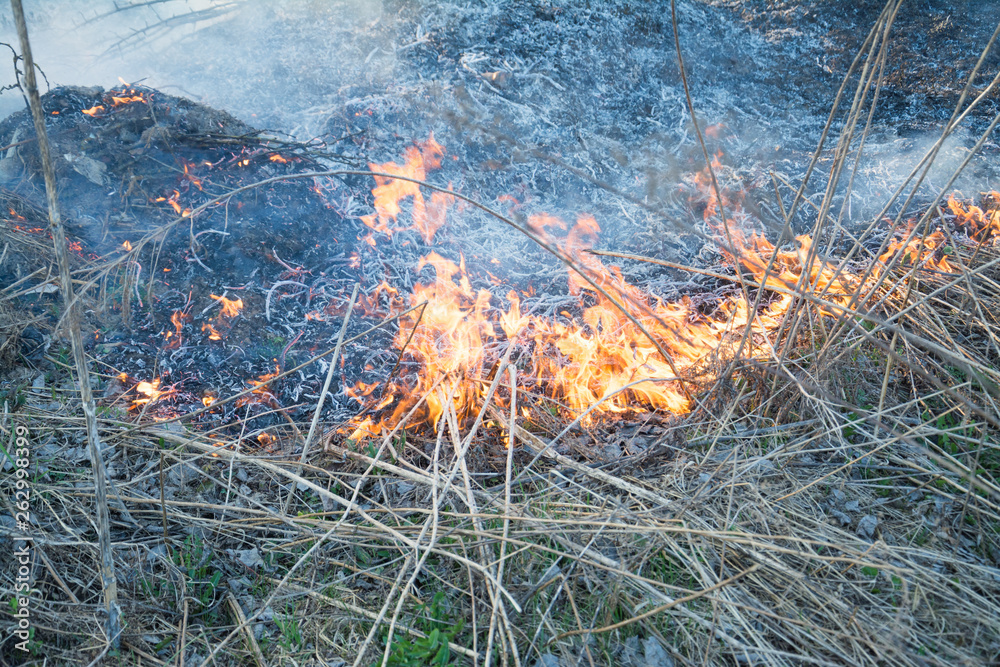 Burning old dry grass in garden close-up flame photo Burning old dry grass in garden close-up flame photo