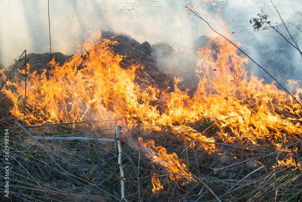 Burning old grass in the field, big flame landscape photo Burning old grass in the field, big flame landscape photo