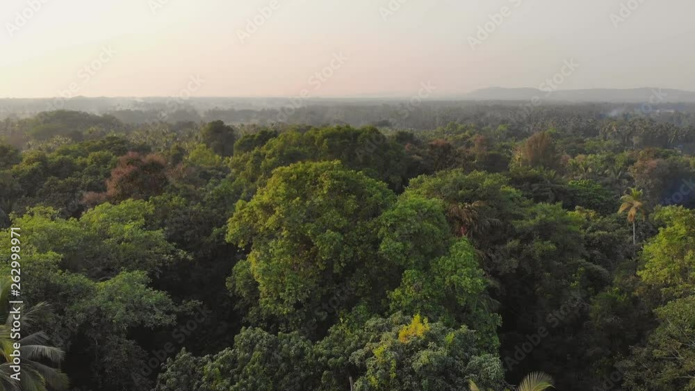Drone video dense forest massifs within the city of Margao in the state of Goa. India. Drone video dense forest massifs within the city of Margao in the state of Goa. India.