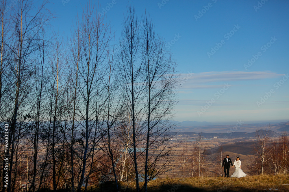 Beautiful wedding couple posing on hills