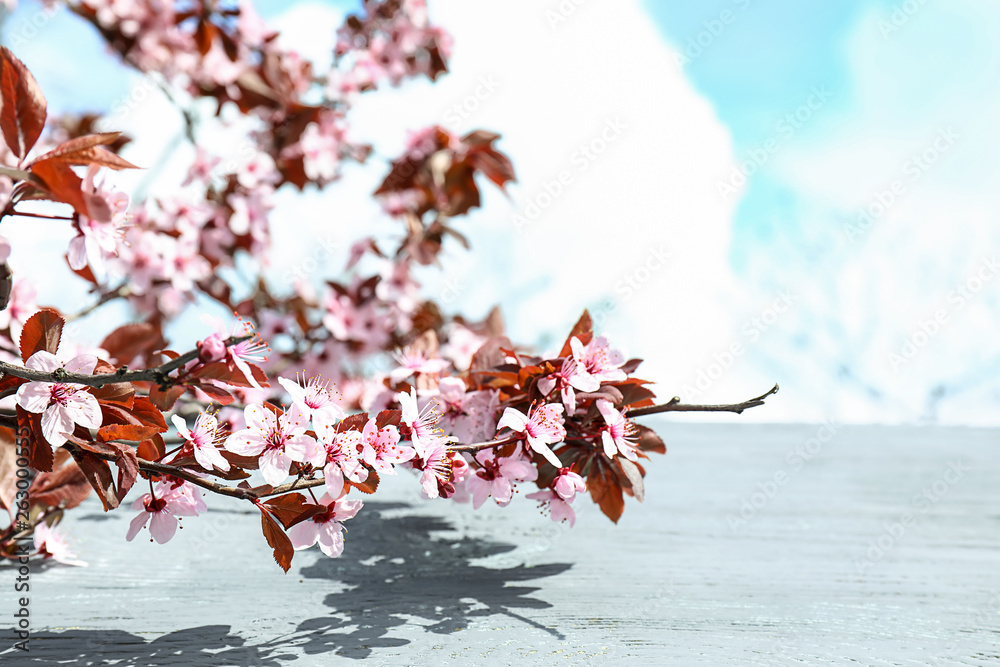 Fototapeta premium Beautiful blossoming branches and wooden table outdoors