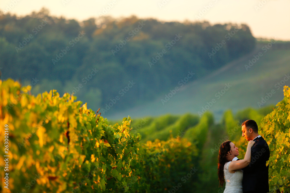 Beautiful wedding couple posing in vineyard
