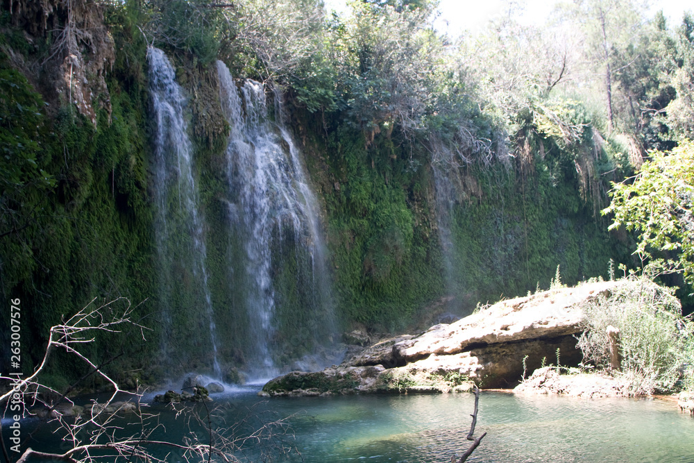 Fototapeta premium waterfall in forest