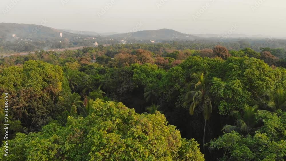 Drone video dense forest massifs within the city of Margao in the state of Goa. India. Drone video dense forest massifs within the city of Margao in the state of Goa. India.