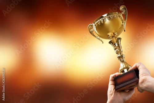 Hands holding golden trophy on light background