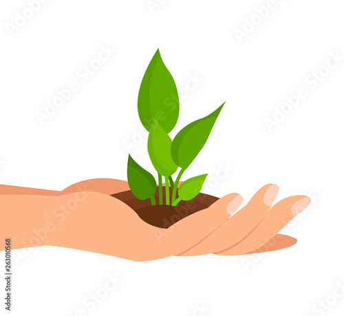 Sprout in Palm Flat Color Isolated Illustration