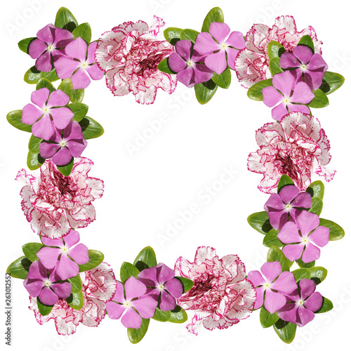 Beautiful floral background of phlox and carnations. Isolated 