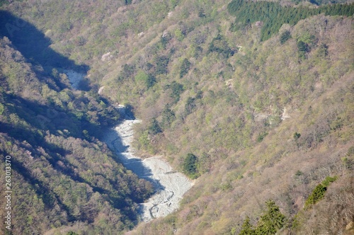 新緑のゴーラ沢