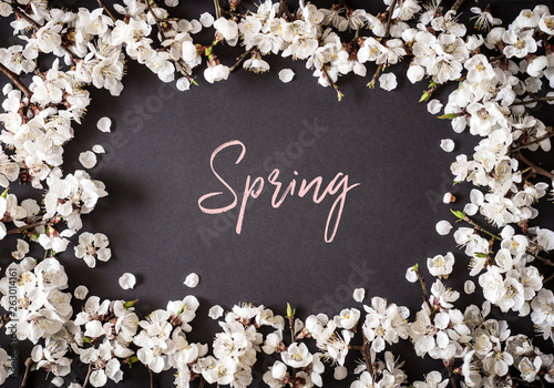 Festive background for spring holidays. Spring flowers on black  background. Apricot blossom . Top view. Apricot blossom on a color background. Spring concept