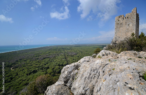 Scenic view of ancient lookout tower on hill overlooking the Italian Mediterranean coast with its large pine forest