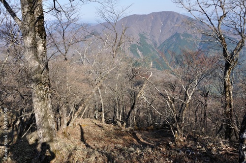 早春の丹沢主稜より望む大室山 © Green Cap 55