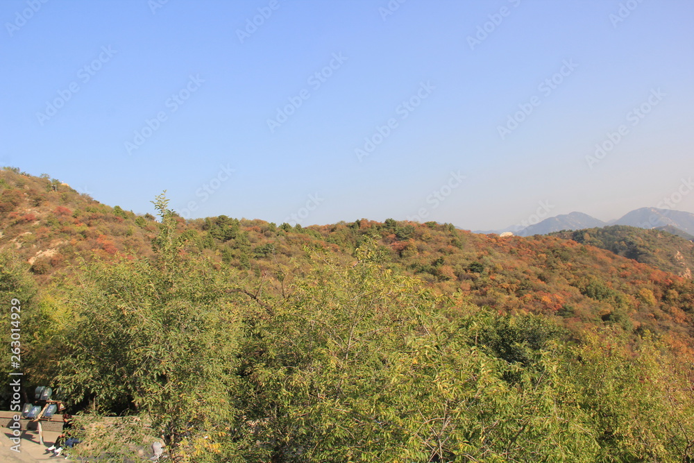 Fototapeta premium view of mountains