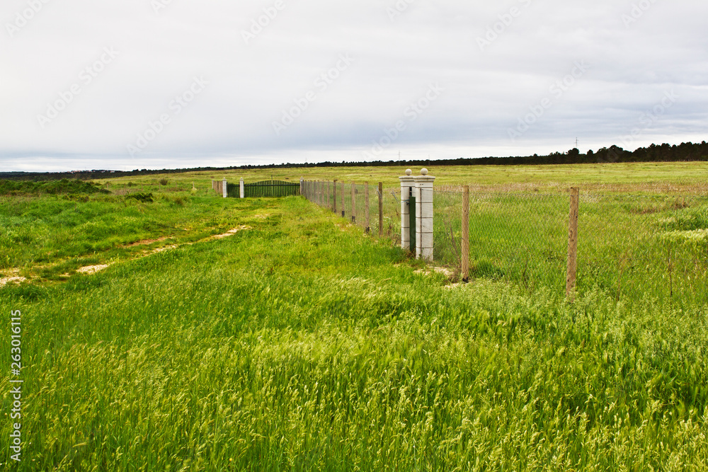 rural landscape with fence and green field