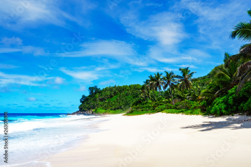 beautiful paradise beach white sand turquoise water palms  seychelles