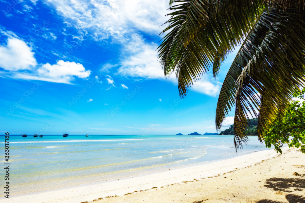 Fototapeta premium beautiful lagoon with boats in turquoise water behind palm leaves, seychelles 2