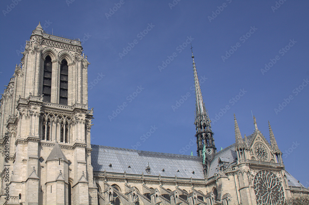 Fototapeta premium Notre Dame de Paris