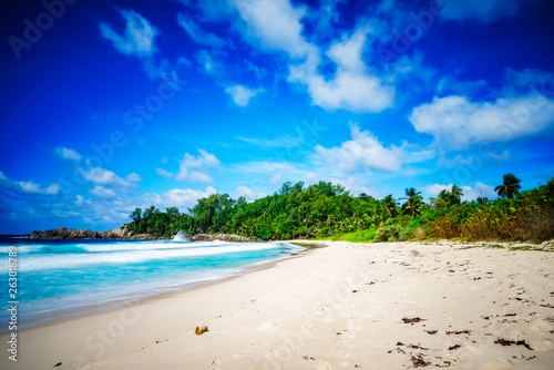 paradise tropical beach palms rocks white sand turquoise water  seychelles 1