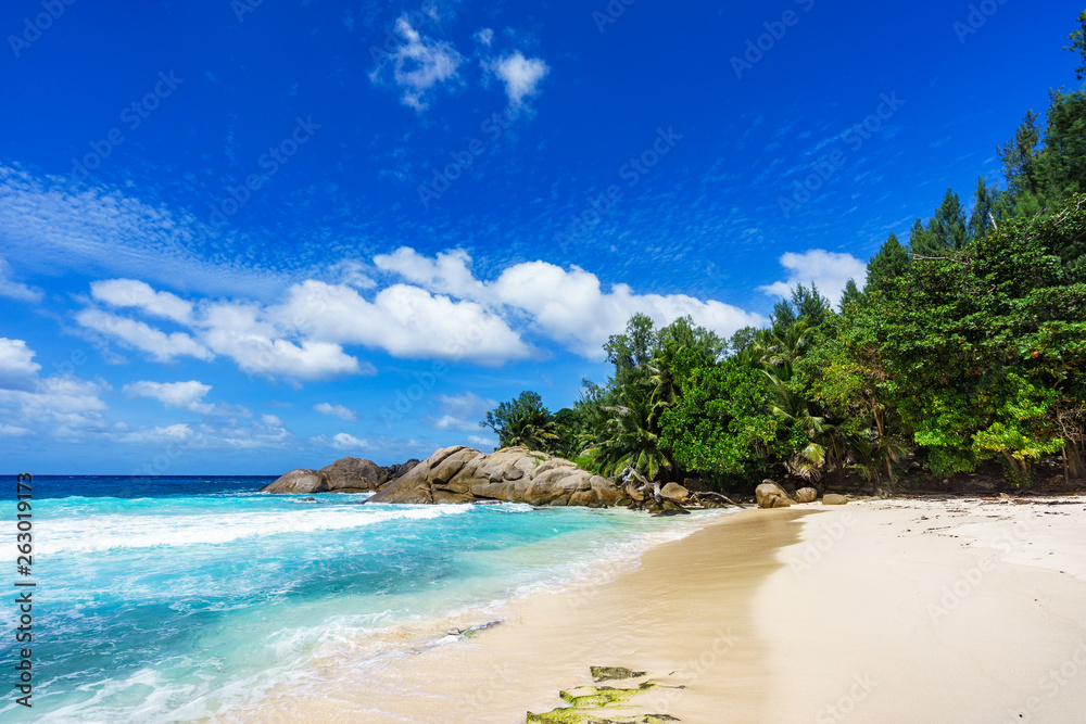 Beautiful tropical beach,palms,white sand,granite rocks,seychelles 18 Beautiful tropical beach,palms,white sand,granite rocks,seychelles 18