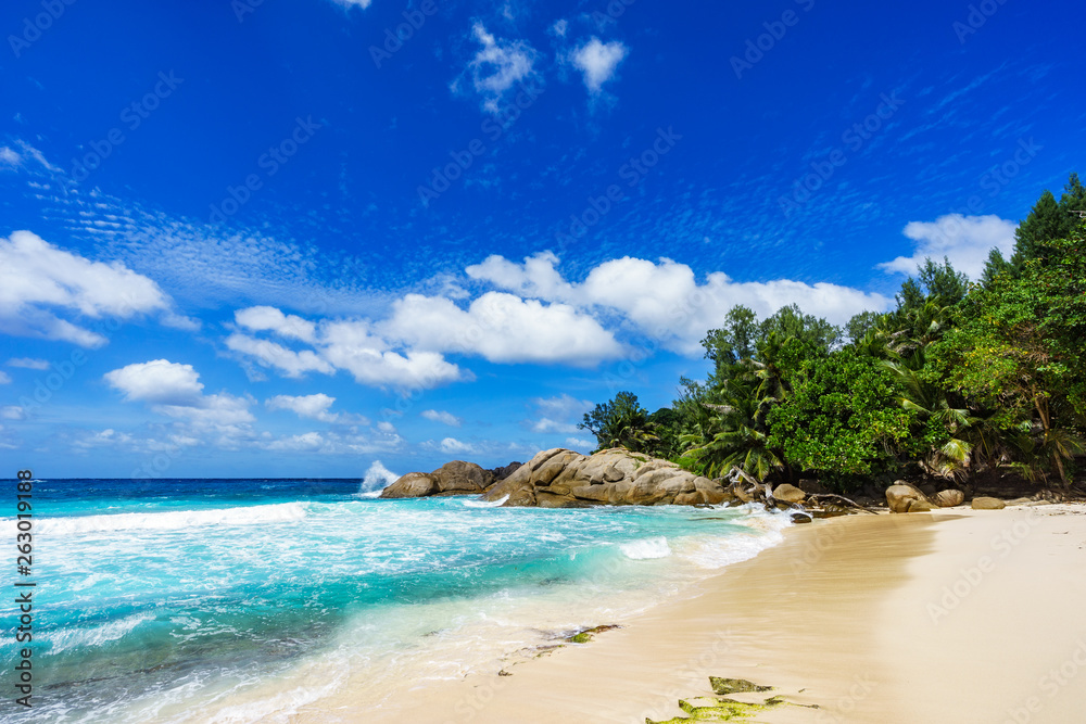 Beautiful tropical beach,palms,white sand,granite rocks,seychelles 19