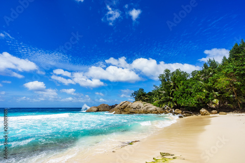 Beautiful tropical beach palms white sand granite rocks seychelles 19