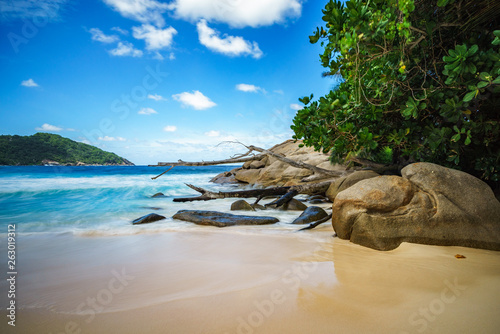 beautiful paradise tropical beach,palms,rocks,white sand,turquoise water, seychelles 13