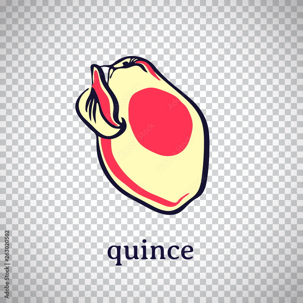 Obraz premium Hand drawn stylized quince. Vector fruit isolated on transparent background. Graphic illustration for logo or icon