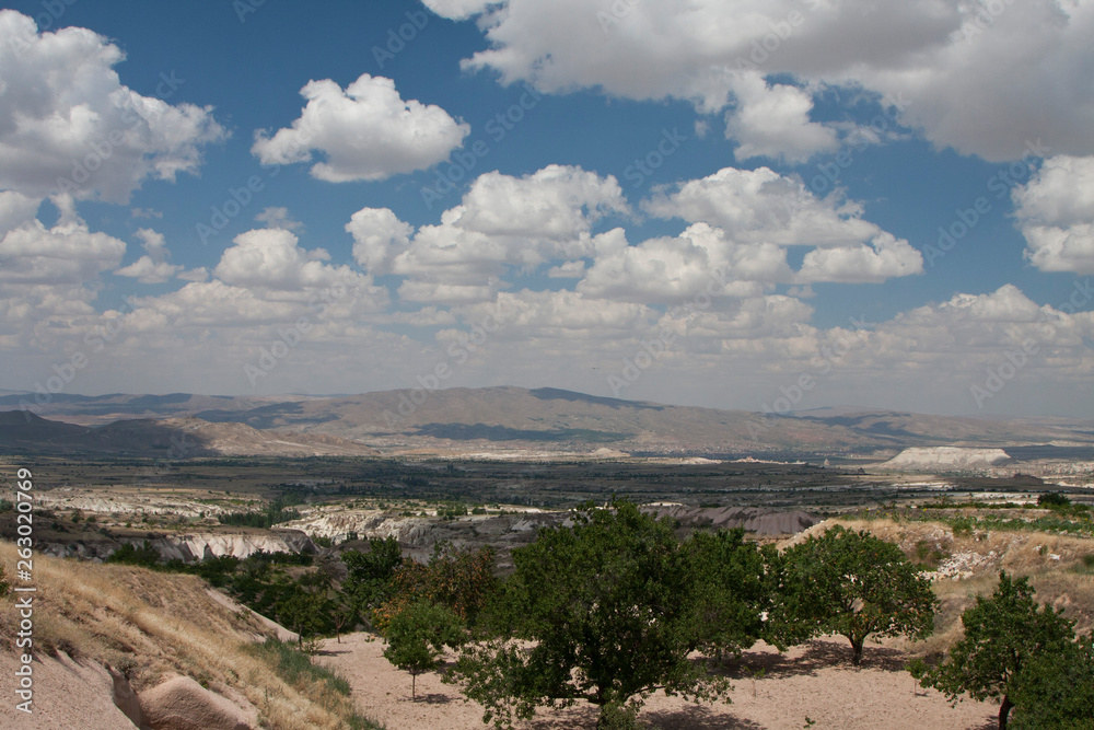 Obraz premium view of turkey